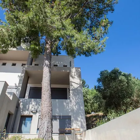 The Pine Flat Apartment